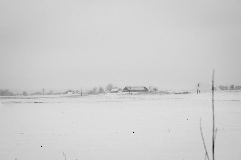 Foggy winter day in the field in black and white - free stock photo