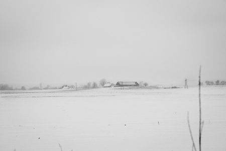 Foggy winter day in the field in black and white - free stock photo