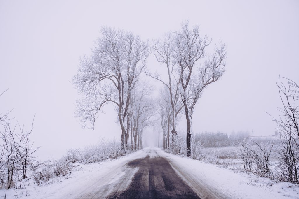 Snow covered road 2 - free stock photo