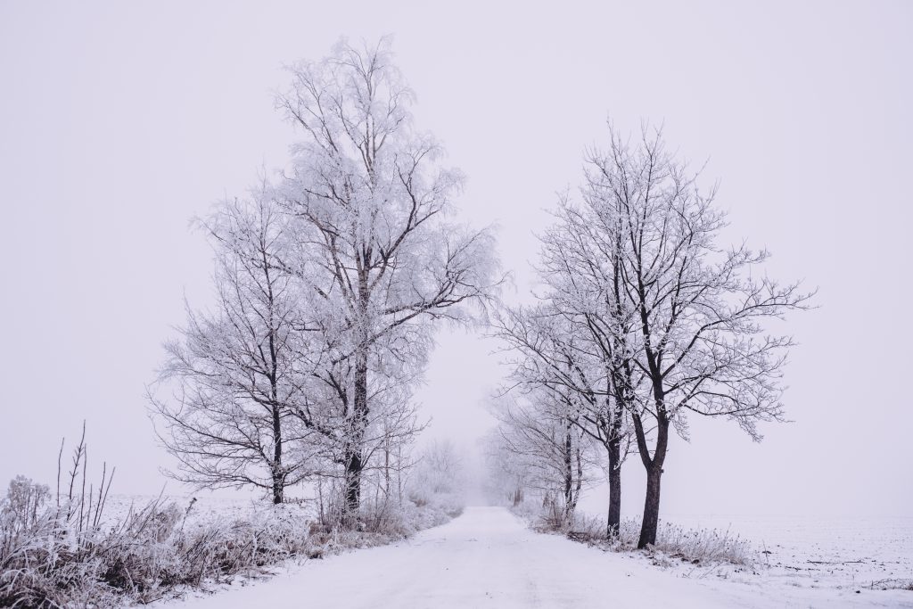 Snow covered road 3 - free stock photo