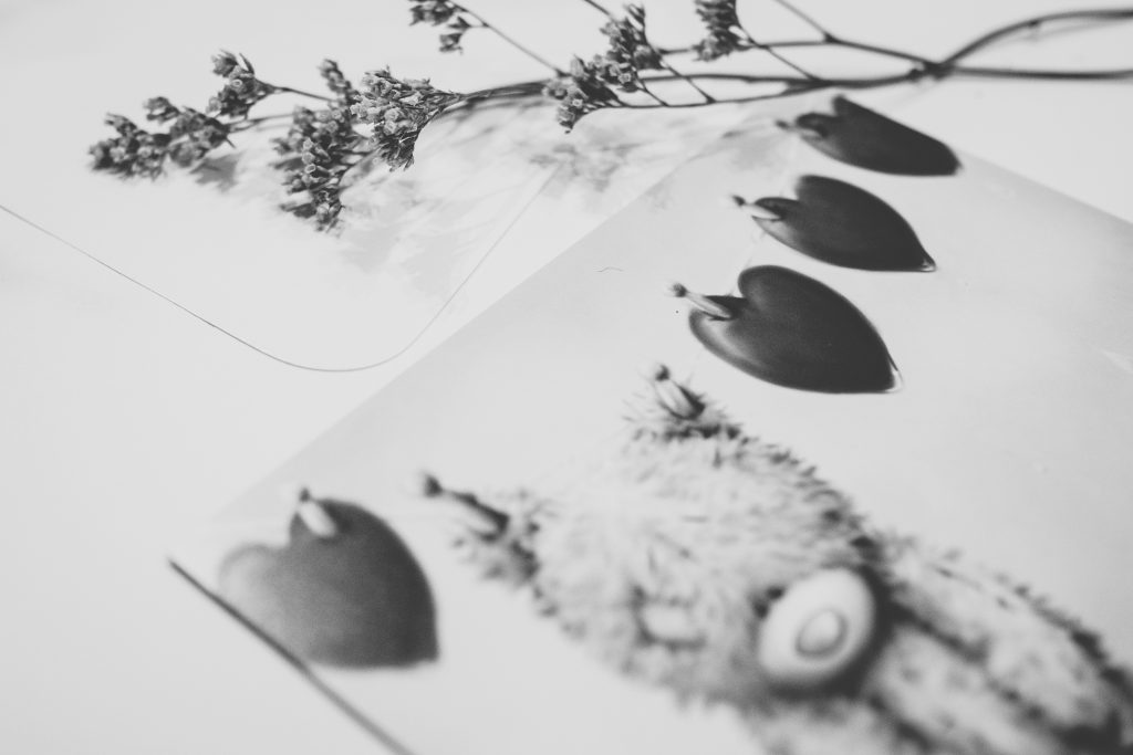 Valentines card with teddy bear in black and white - free stock photo