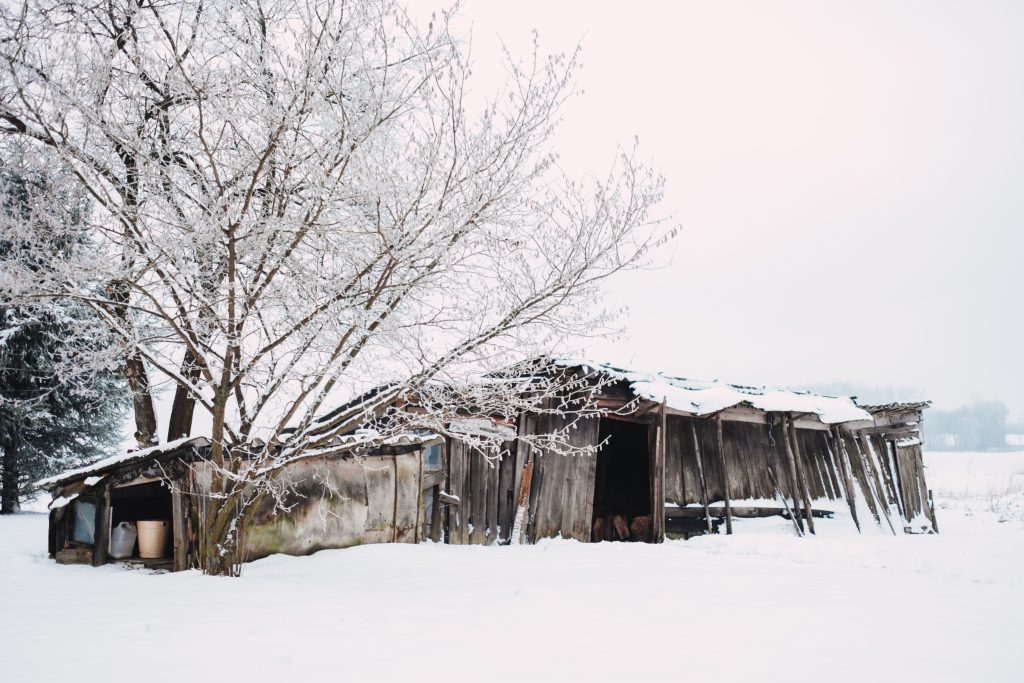 wooden_shed_in_the_countryside-1024x683.