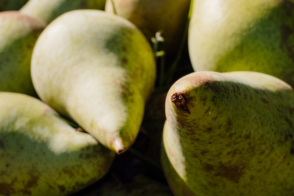 Pears closeup - free stock photo