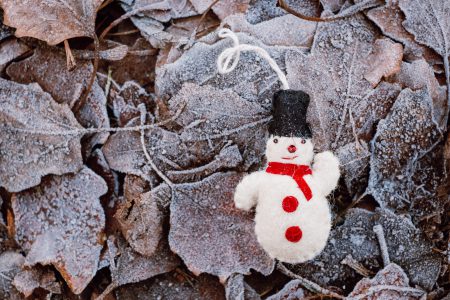 Felted snowman on frosted leaves 2 - free stock photo