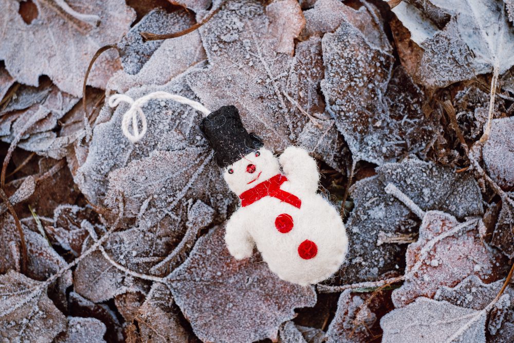 Felted snowman on frosted leaves 3 - free stock photo