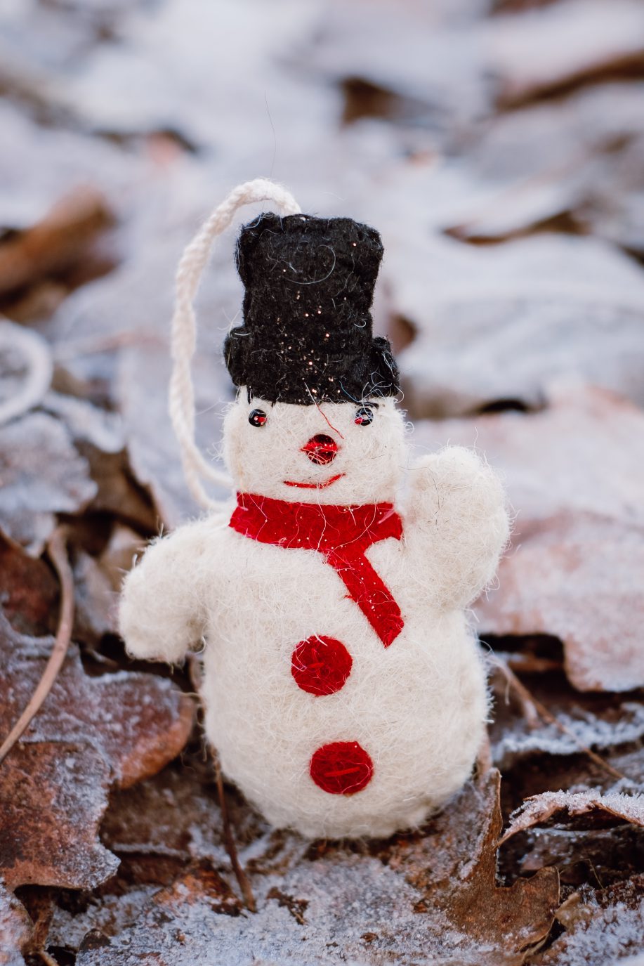 Felted snowman on frosted leaves 5 - free stock photo
