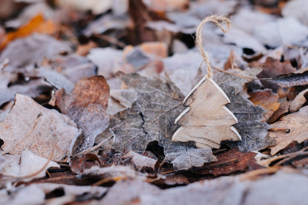 Wooden Christmas tree on frosted leaves 3 - free stock photo