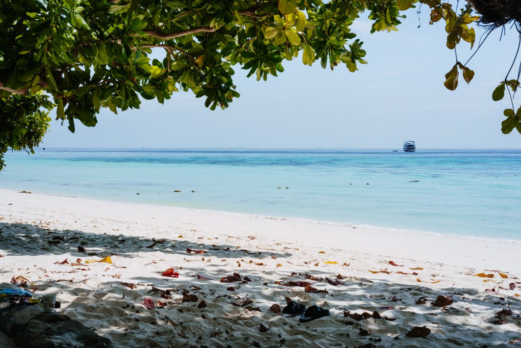 sandy beach in thailand 4 1024x683 - Albert Einstein On Rehab Jobs Thailand