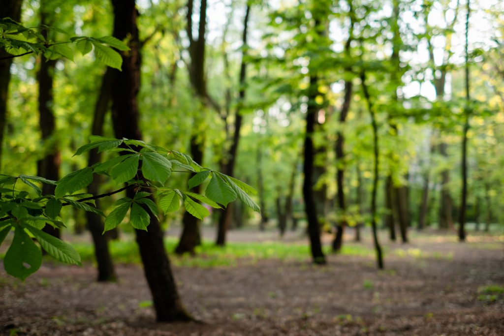 Create A Furniture Singapore Your Parents Would Be Proud Of