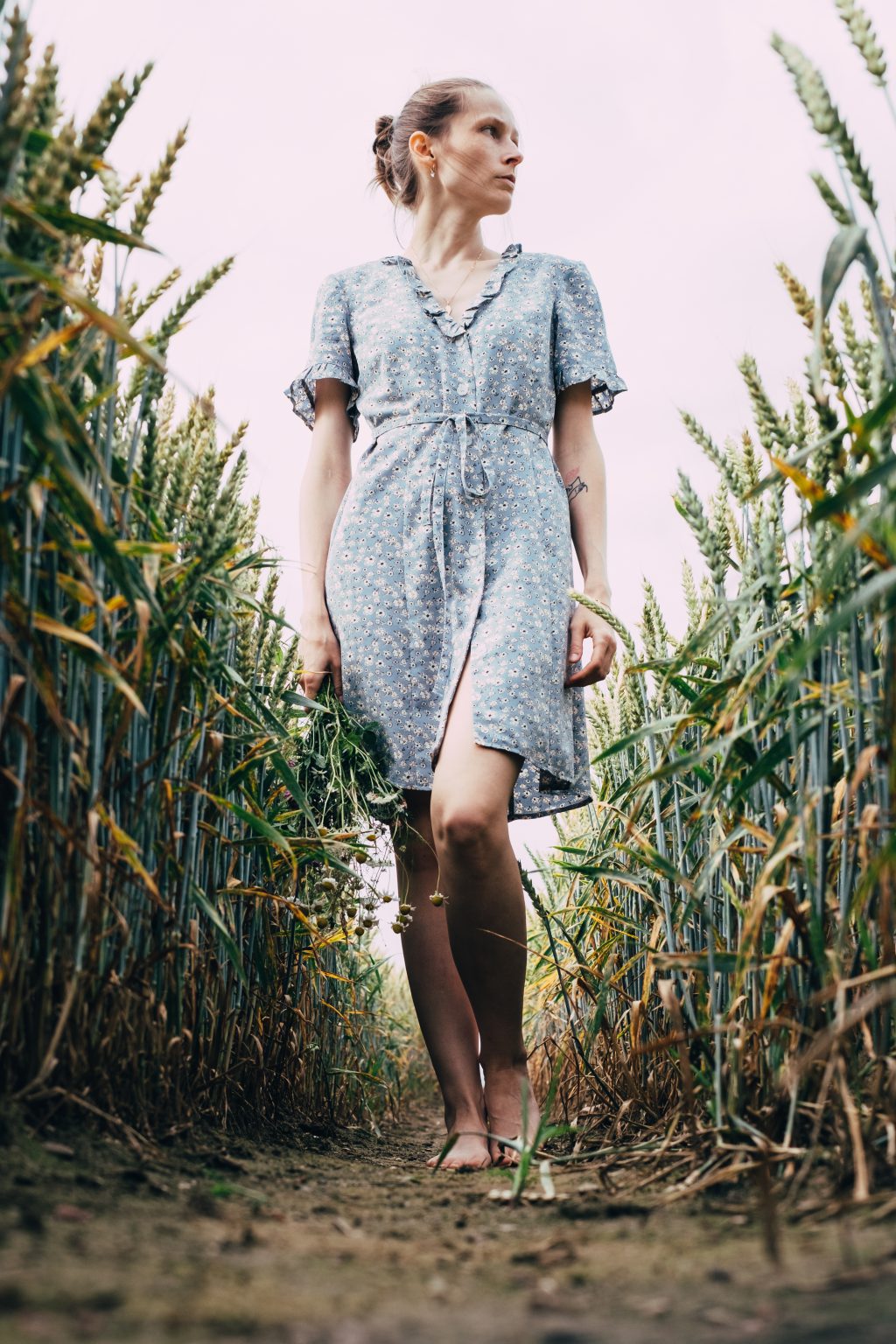 Girl standing in a triticale field - free stock photo