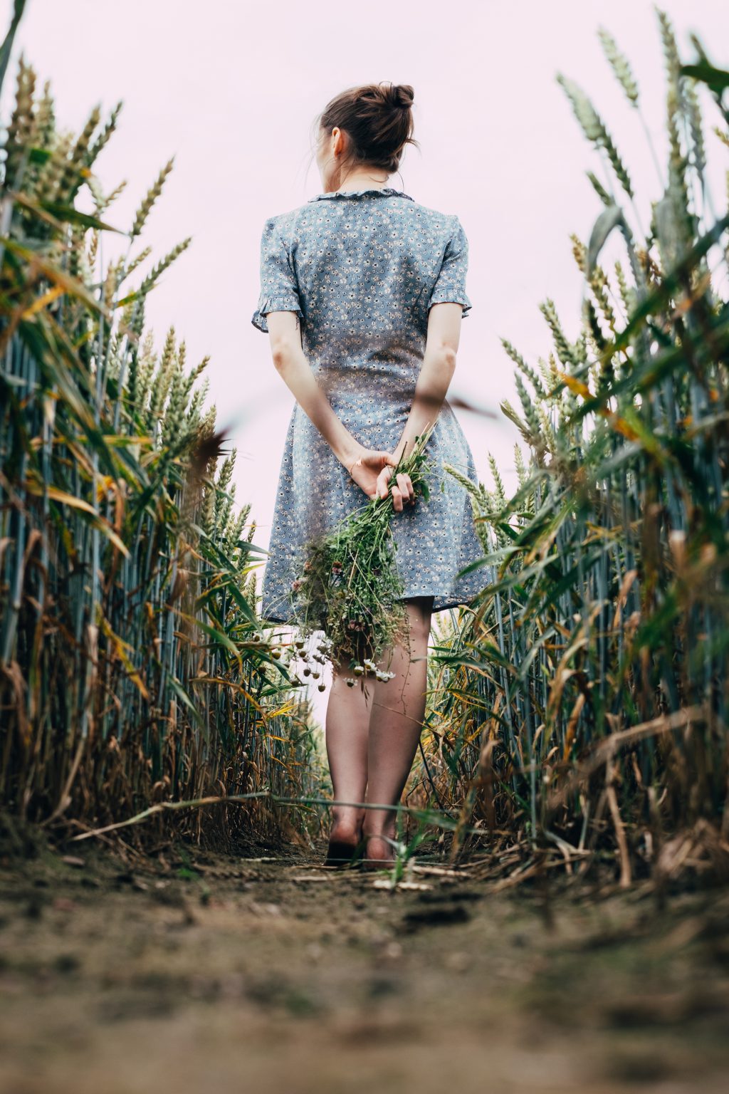 Girl standing in a triticale field 3 - free stock photo