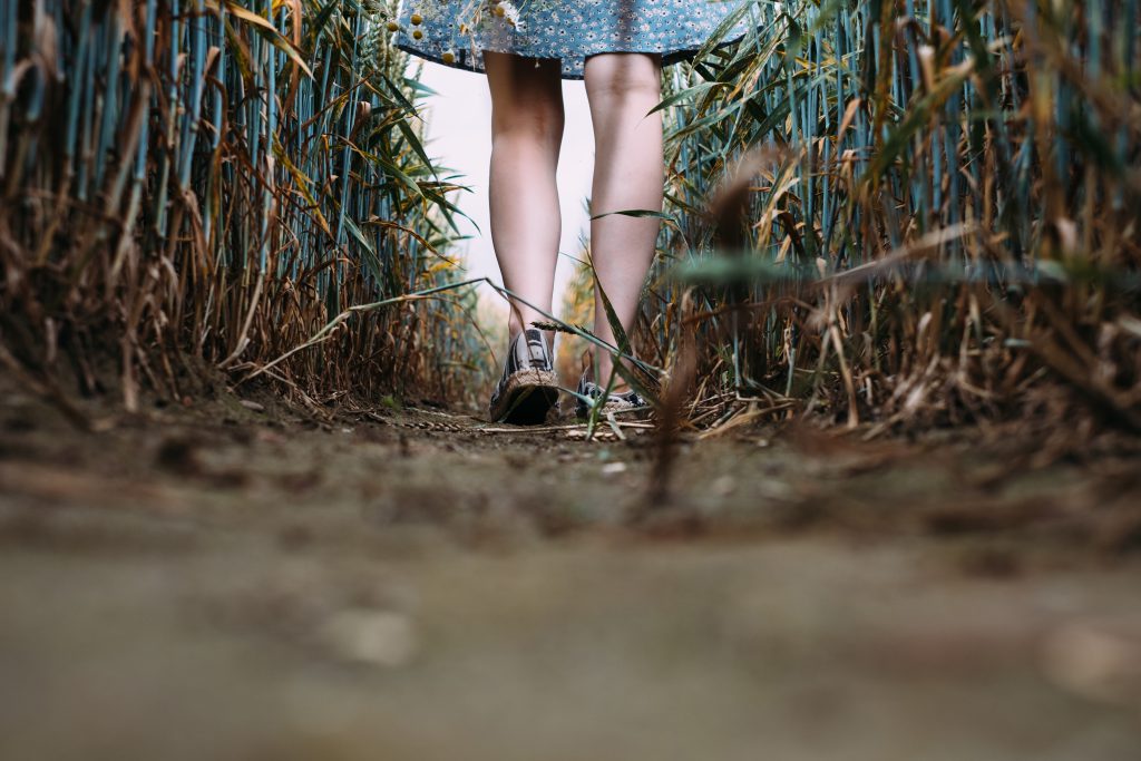 Girl standing in a triticale field 4 - free stock photo