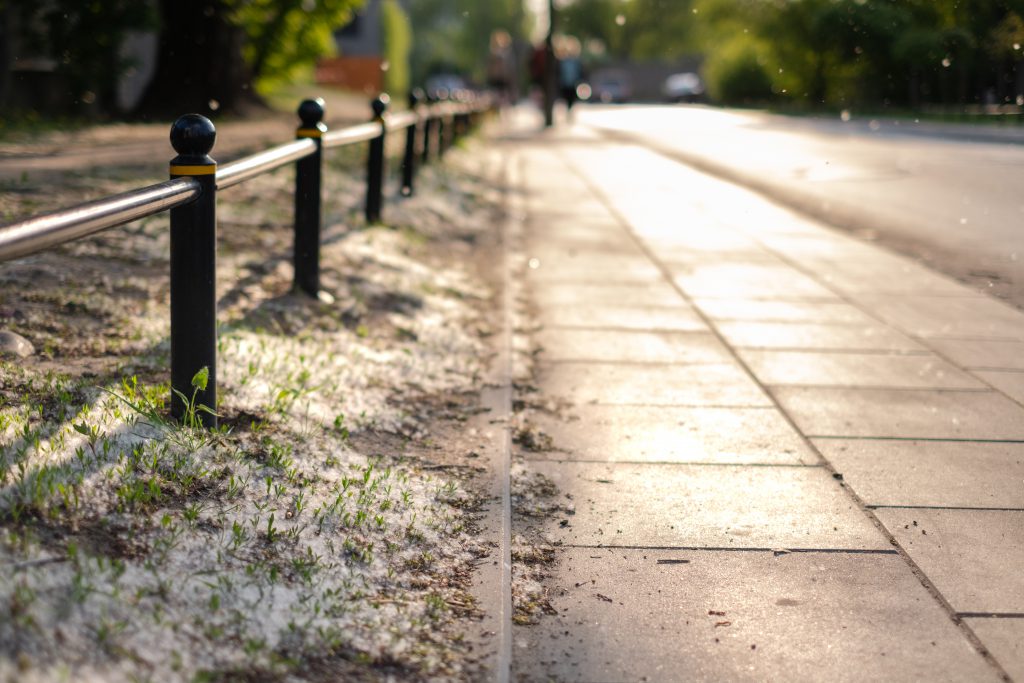 Pollen flying in the street 2 - free stock photo