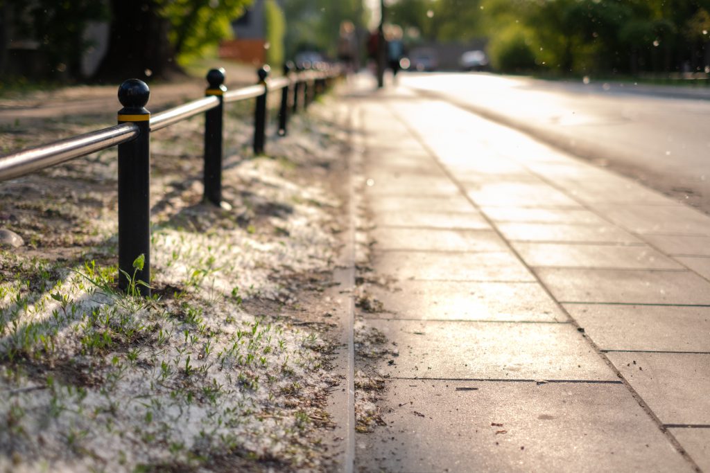 pollen_flying_in_the_street_2-1024x683.jpg