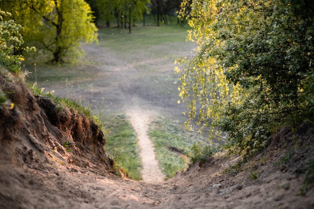 Steep bicycle trail in the park - free stock photo