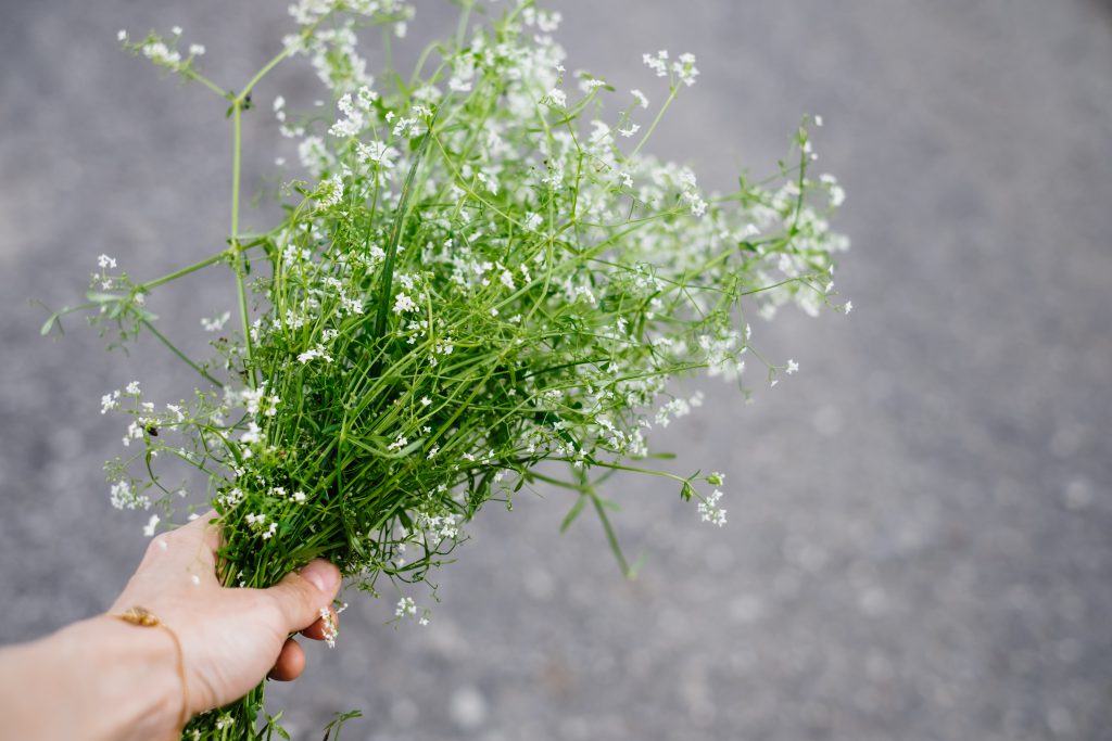 wild_flowers_bouquet_in_a_female_hand_2-1024x683.jpg