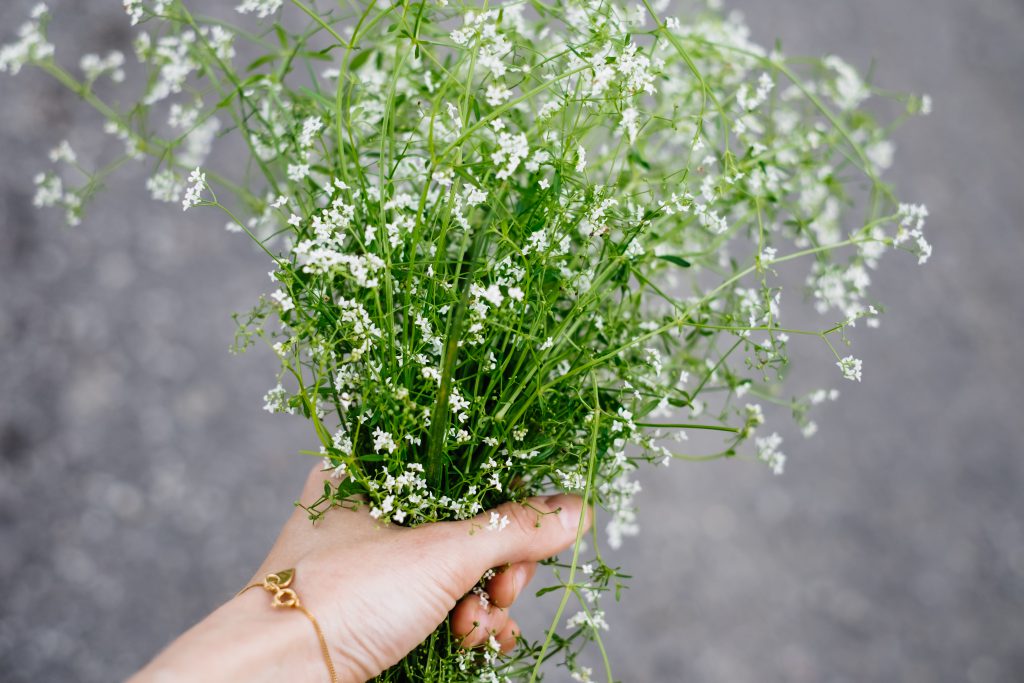 Wild flowers bouquet in a female hand 3 - free stock photo