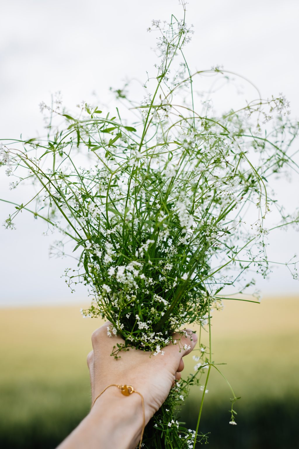 Wild flowers bouquet in a female hand 5 - free stock photo