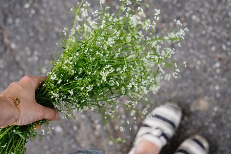 Wild flowers bouquet in a female hand 7 - free stock photo