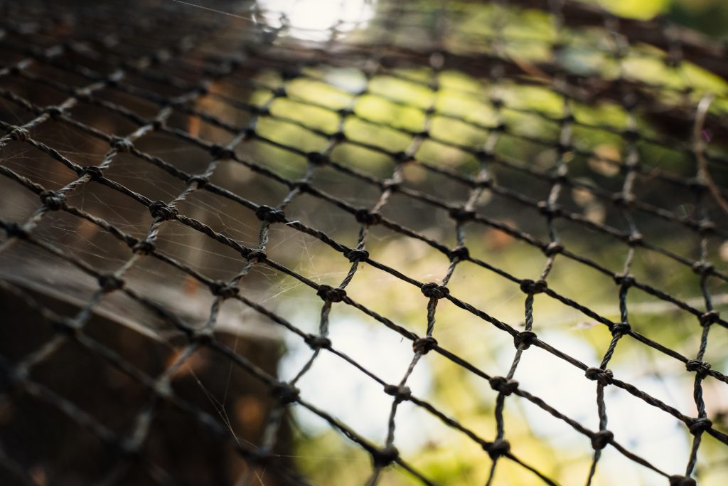 Fish net closeup - free stock photo