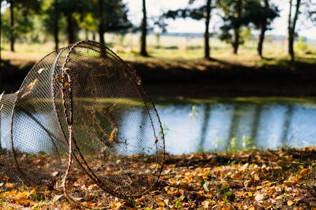 Fish net at the pond - free stock photo