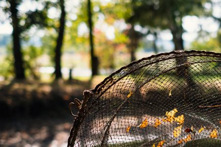 Fish net at the pond 2 - free stock photo