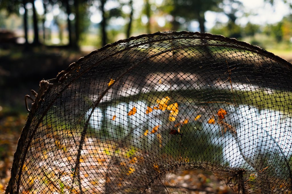 Fish net at the pond 3 - free stock photo