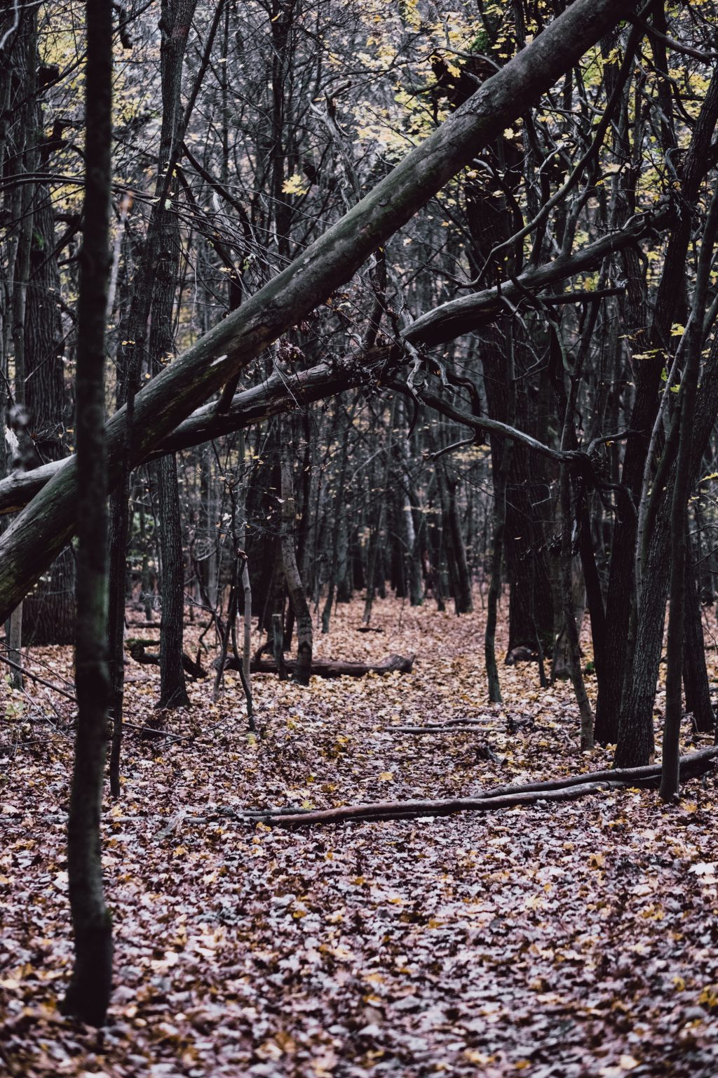 Rules Not To Follow About Cryptocurrency Trading For Beginners