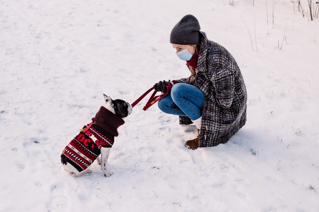 A female with a french bulldog out in the snow 3 - free stock photo