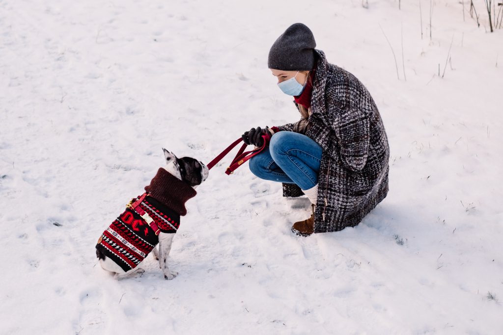 female_with_a_french_bulldog_out_in_the_