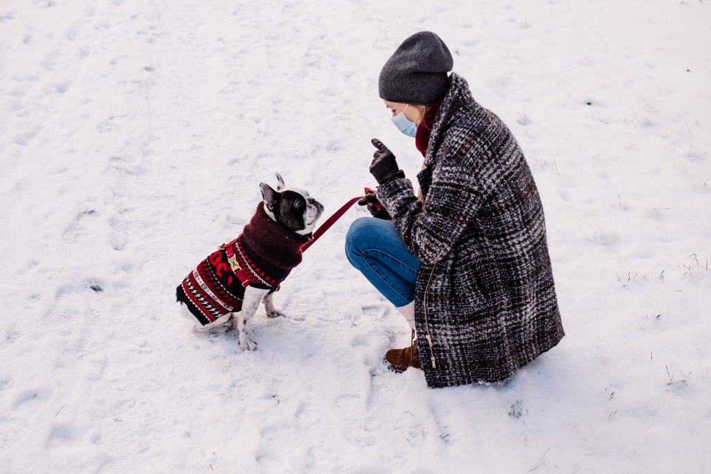 female_with_a_french_bulldog_out_in_the_