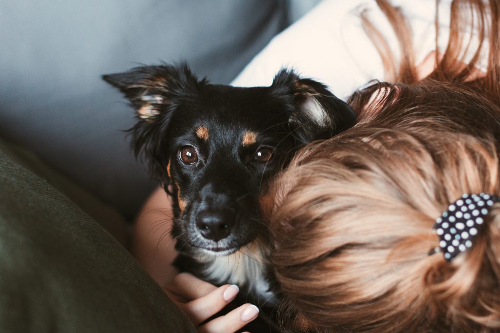 Girl hugging her dog - free stock photo