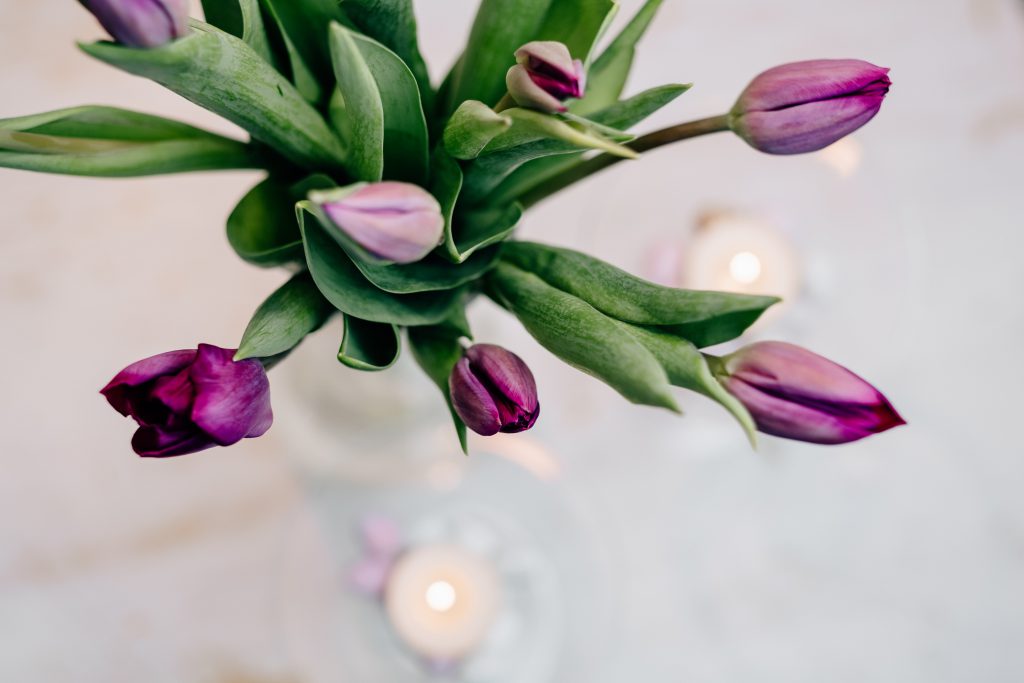 Table candle decoration with purple tulips 2 - free stock photo