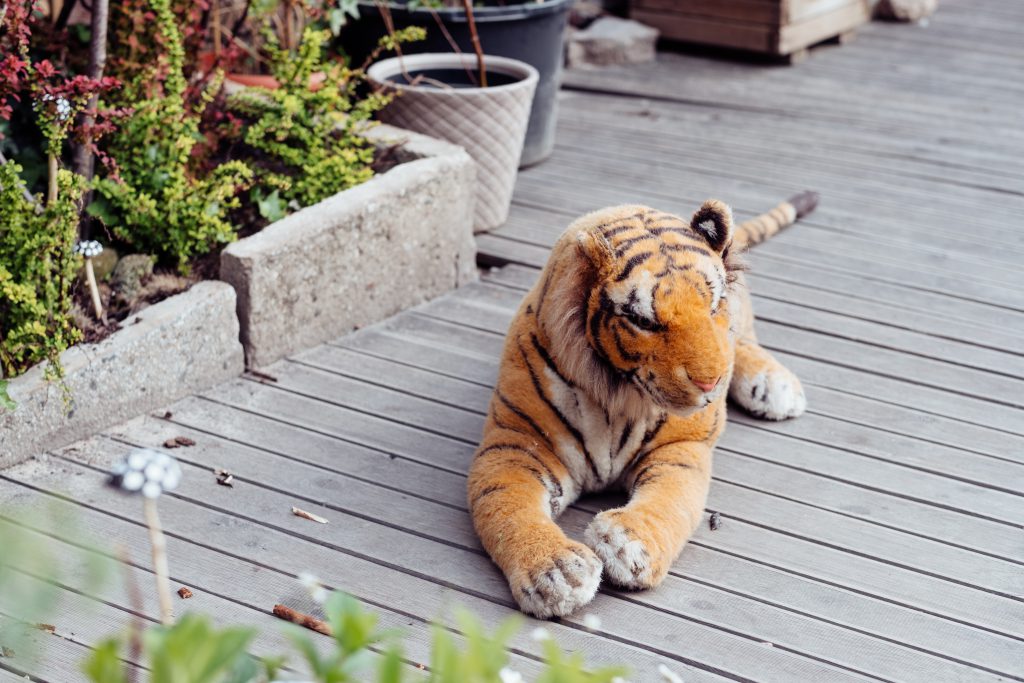 Big plush tiger toy on a wooden terrace - free stock photo