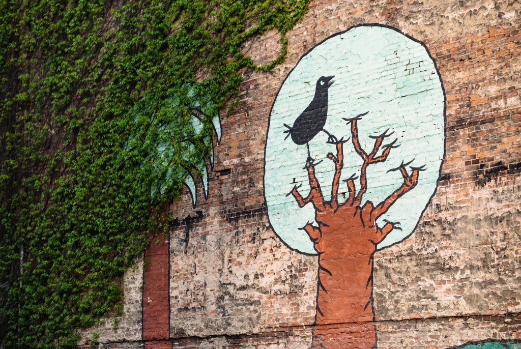 Graffiti of a black bird sitting on a tree on a brick wall - free stock photo