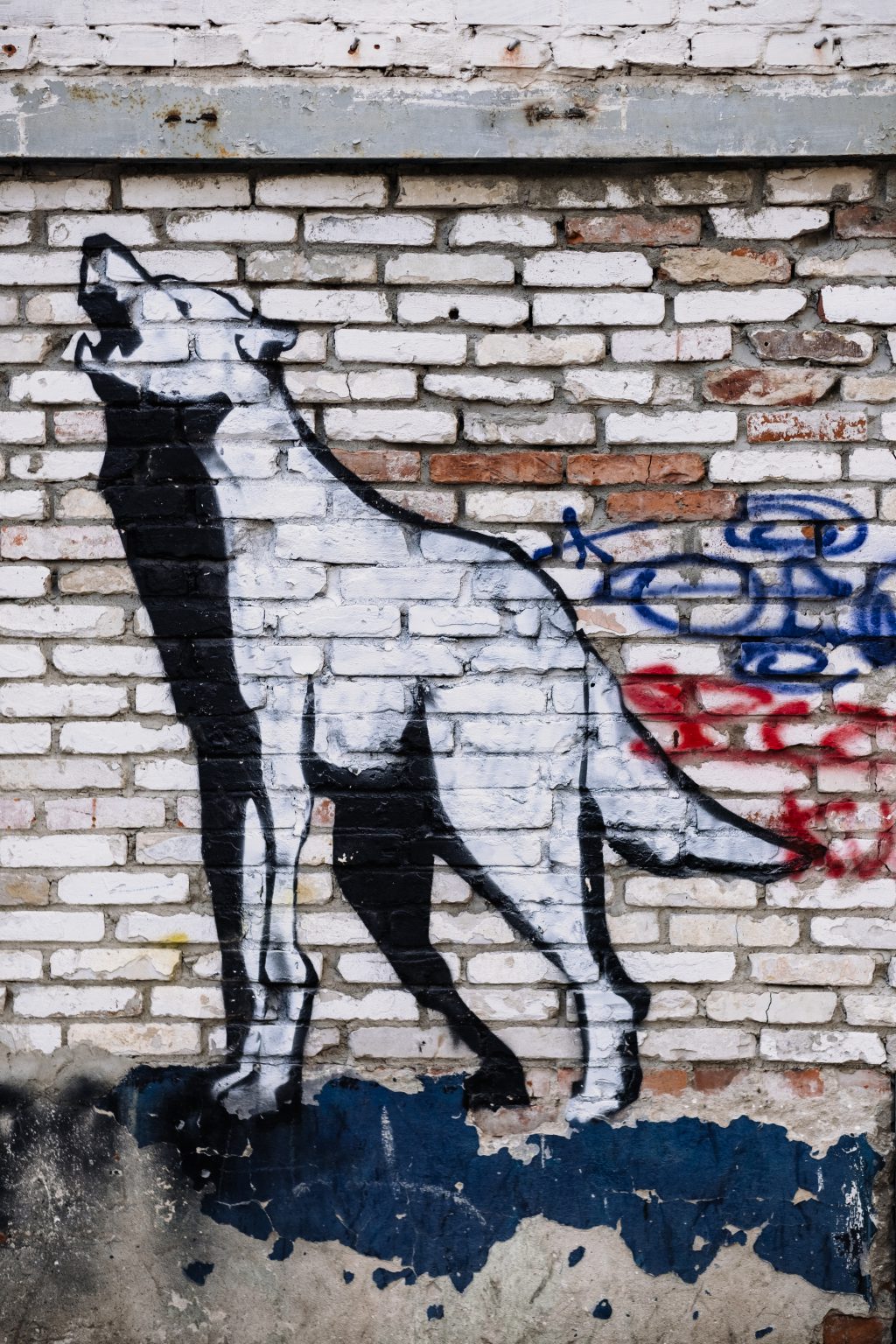 Graffiti of a wolf on a brick wall - free stock photo
