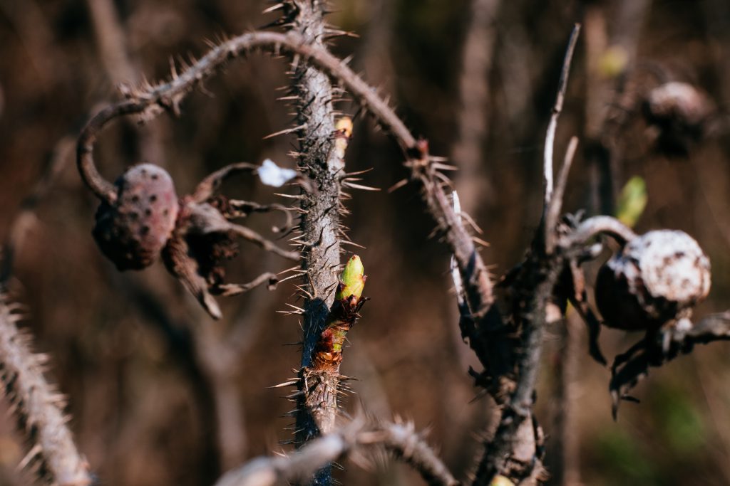 Как Взять Займ Без Процента?