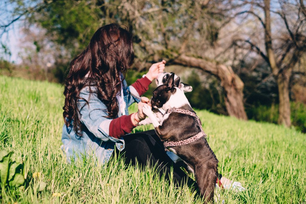 female_playing_with_two_dogs_in_the_park