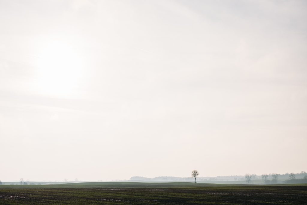 lonely_tree_in_the_field-1024x683.jpg