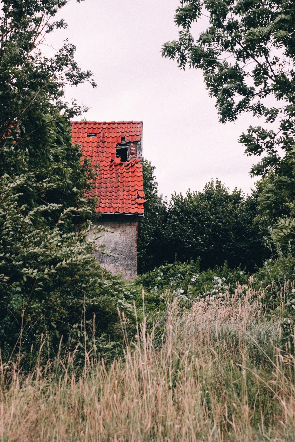 Abandoned ruined house 3 - free stock photo