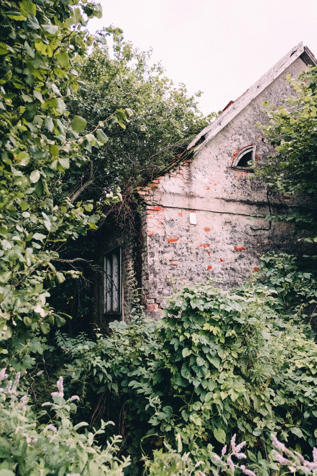 Abandoned ruined house 5 - free stock photo