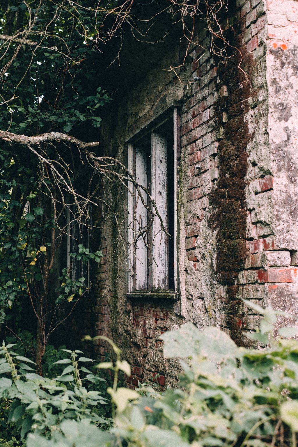 Abandoned ruined house 7 - free stock photo