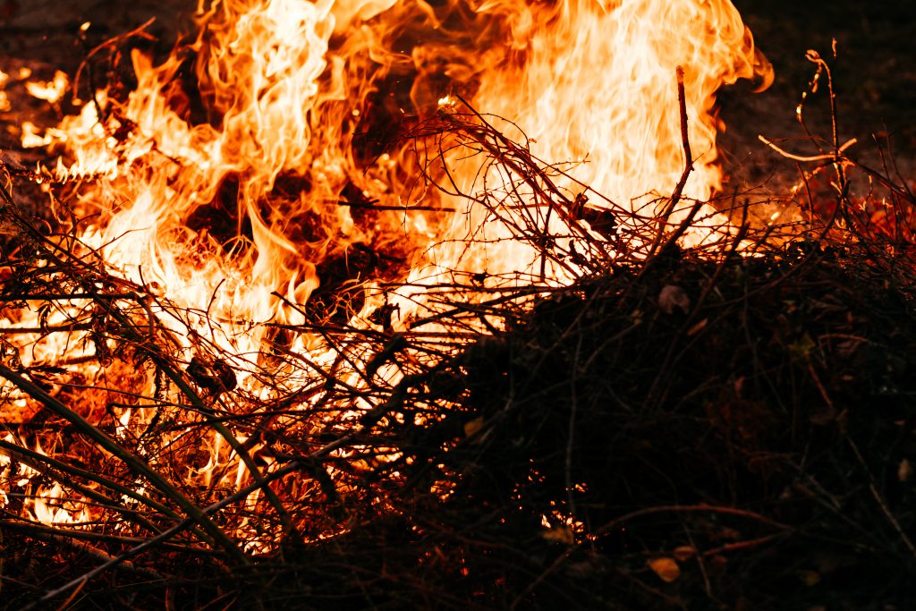 Bonfire flames - free stock photo