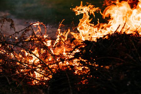 Bonfire flames 2 - free stock photo