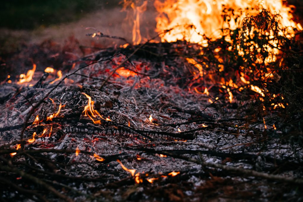 Bonfire flames and ashes - free stock photo