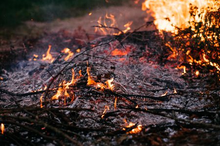 Bonfire flames and ashes 2 - free stock photo