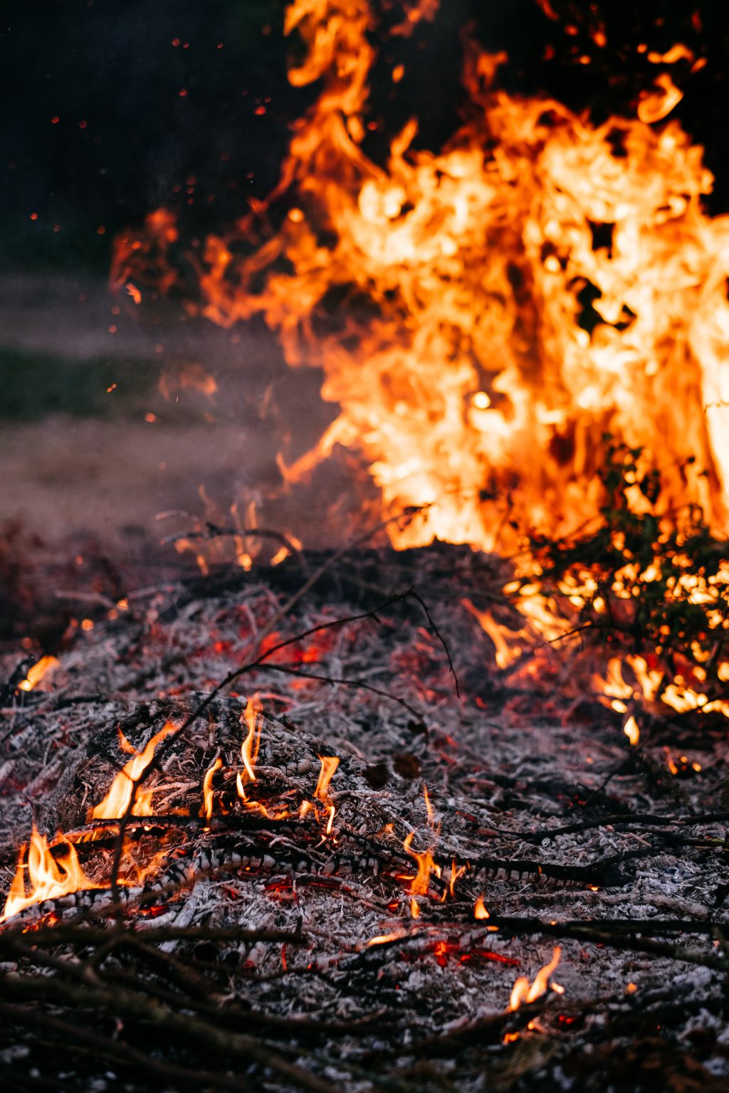 Bonfire flames and ashes 3 - free stock photo