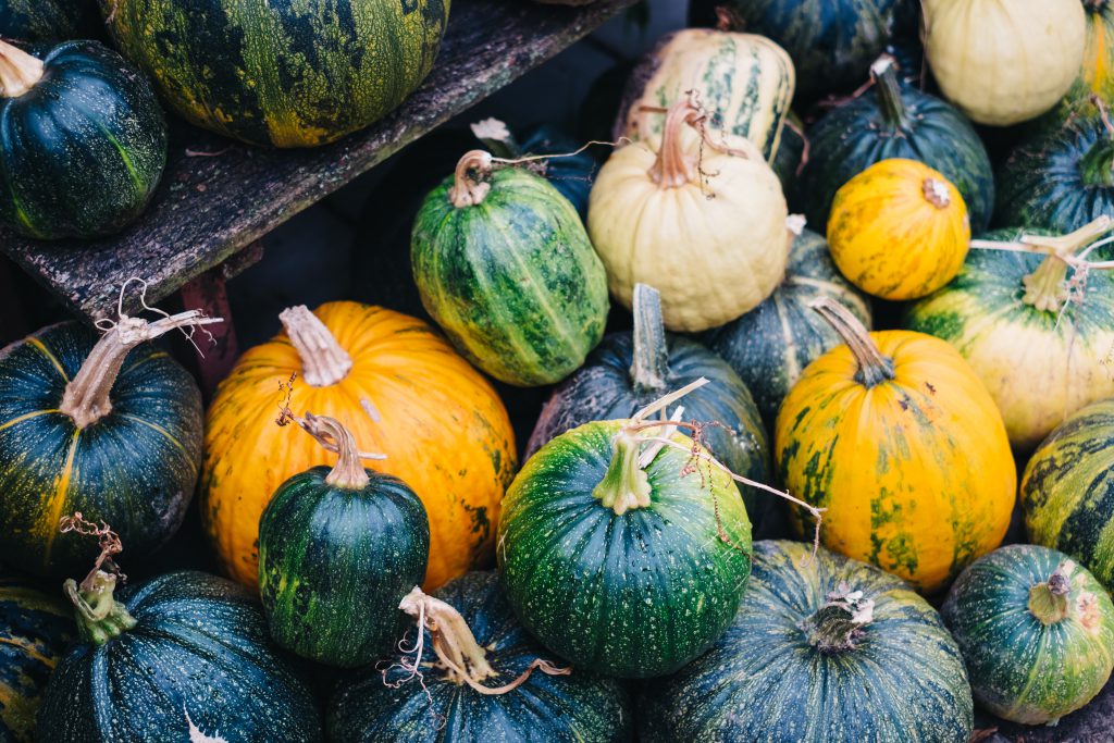 pile_of_green_and_yellow_pumpkins-1024x683.jpg