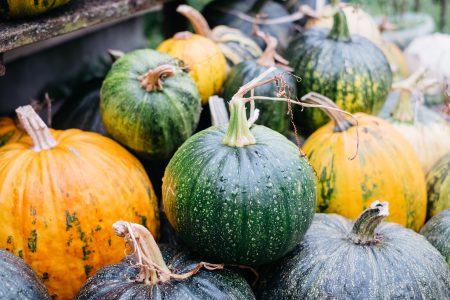 A pile of green and yellow pumpkins 2 - free stock photo