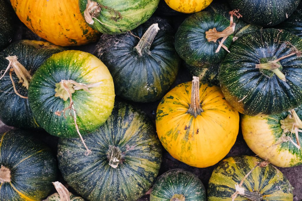 pile of green and yellow pumpkins 3